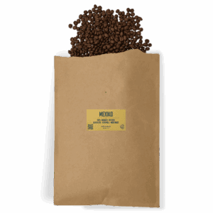 MEXIKO im Grossbrief